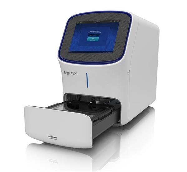 全自動高靈敏高解析冷螢光生醫影像系統