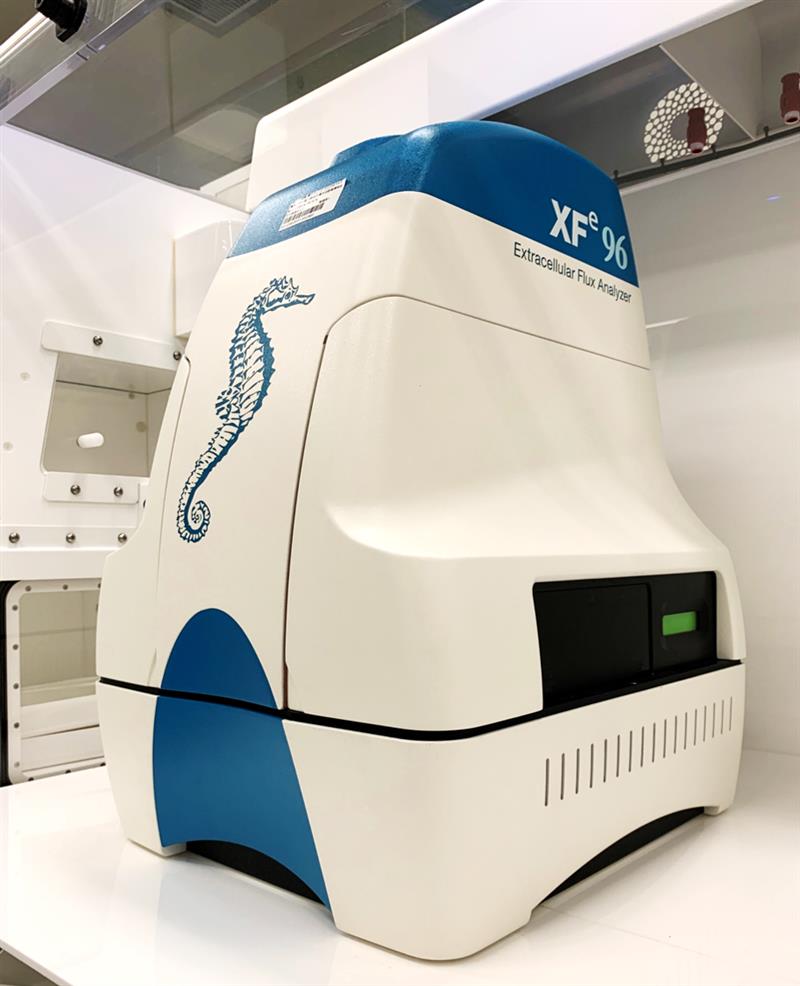 海馬生物能量代謝測定儀