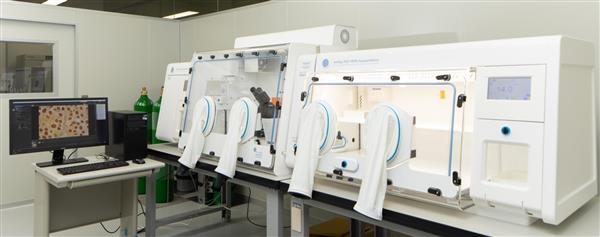 A1 微需氧操作平台