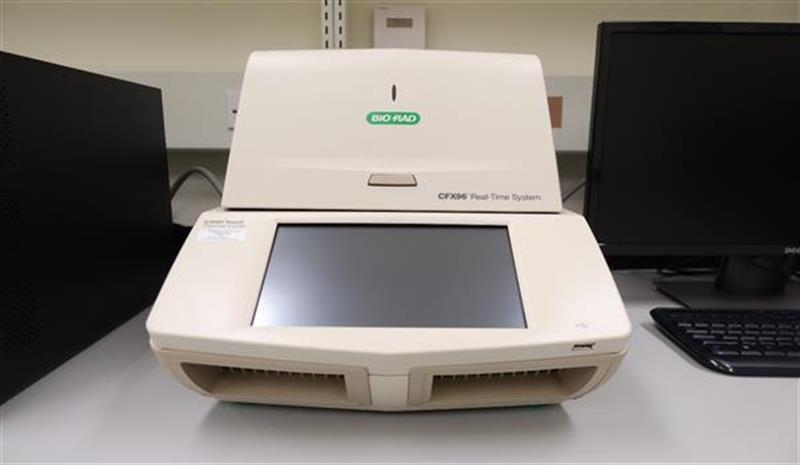 CG7 即時聚合酶鏈鎖反應儀(CFX96)_C棟