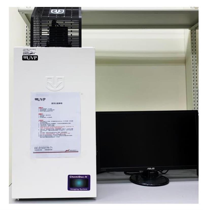 CG11 高敏感度冷光生醫影像系統